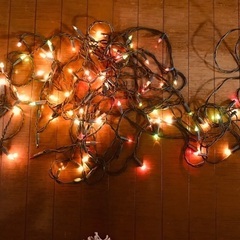クリスマスライト（屋外屋内用）②