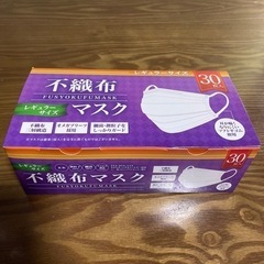 不織布マスク　未開封　30枚入り