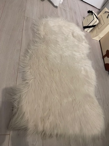 Francfrancカーペット☁️