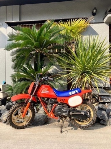 QR50 ホンダ キッズ モトクロス