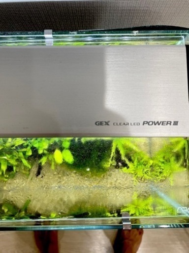ADA 水槽 フルセット 陰性水草水槽