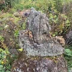 庭石