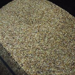 農薬不使用 くず米 25kg  鳥の餌などに