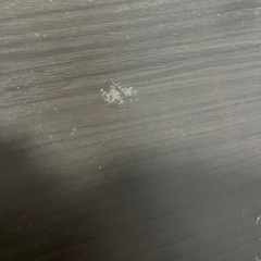 ニトリ　折りたたみローテーブルの画像