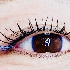 マツエク　まつ毛パーマ　アイブロウ　eyelash salon Lys - 美容