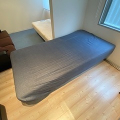 シングル　フランス　ベット　無料