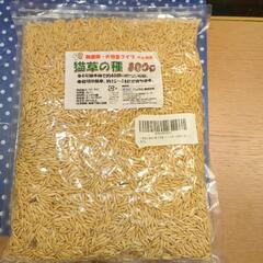 猫草の種　無農薬　あげます　800ｇ