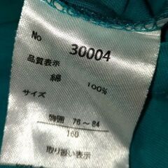 160　半袖フロントプリントＴシャツ　グリーン　オーバーサイズ　ロング丈　薄手【配送可能】の画像