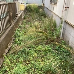 草むしり お手伝いして頂ける方募集しております