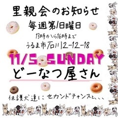 🐶犬の里親会🐾