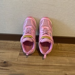 瞬足　シュンソク　23.0E