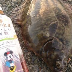 釣り友達がいません(｀；ω；´)※追記