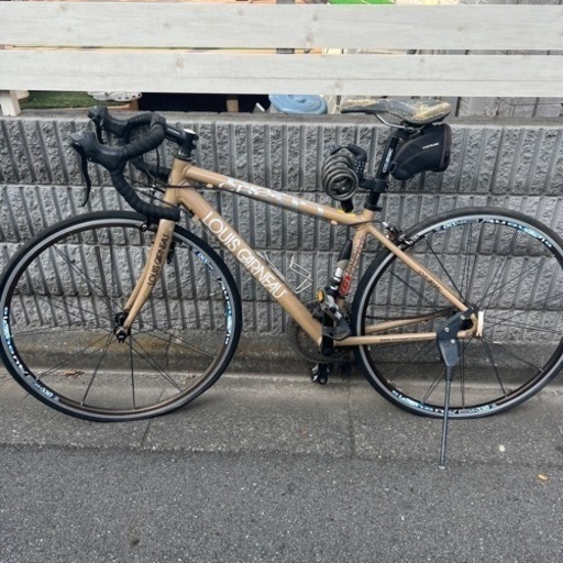 LOUIS GARNEAU/ルイガノ CR22【交渉中】