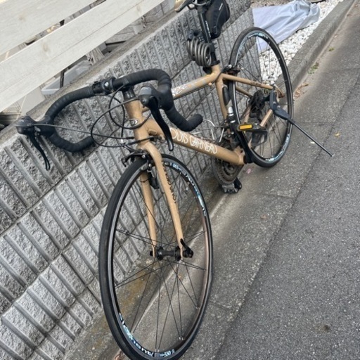 LOUIS GARNEAU/ルイガノ CR22【交渉中】