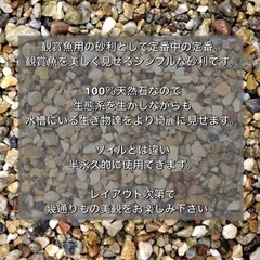 水を綺麗にする水槽の砂利　3kg　五色砂利　大瀬砂利 アクアリウム　溶岩　メダカの画像