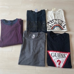 Tシャツ5枚セット レディース