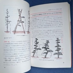 庭木づくり　剪定　整姿　管理　 園芸入門シリーズ  大熊康之　著  の画像