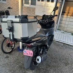pcx125 jk05 限定カラーモデルの画像