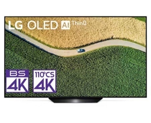 LG OLED 55B9PJA 有機EL 55型