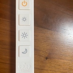 照明　LED球付きの画像
