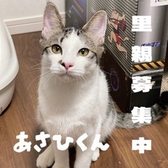 鼻くそ模様がたまらない💙甘えん坊ボーイ