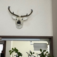 インテリア　鹿の壁掛け（フェイク）の画像