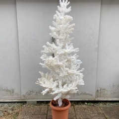 （完了しました）クリスマスツリー