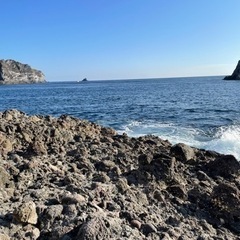 ウキフカセ釣り友達募集の画像