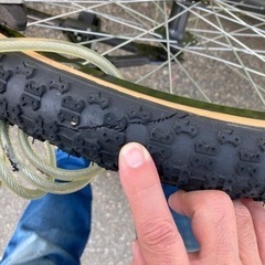 街乗りBMX SCHWINN シュウィン　SX-1000の画像