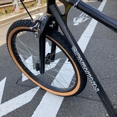 街乗りBMX SCHWINN シュウィン　SX-1000の画像