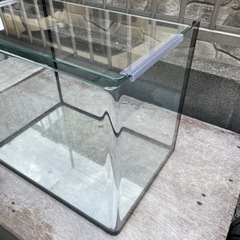 商談中★中古★水槽 400×280×330 曲げガラス 蓋付きの画像