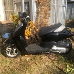ホンダスクーターの画像