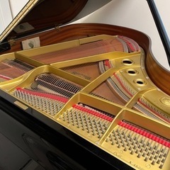 ジャム用ブルーベリー10キロ12000円 （自然農を目指しています