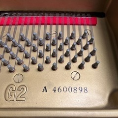 ジャム用ブルーベリー10キロ12000円 （自然農を目指しています