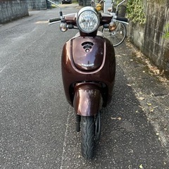HONDAジーノ50ccの画像
