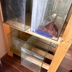 60cm、45cm、90cm水槽❣コトブキレグラス❣の画像