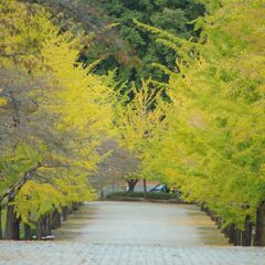 カメラ持ってお写んぽしませんか？