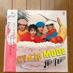 ジューシーフルーツ／LP レコード