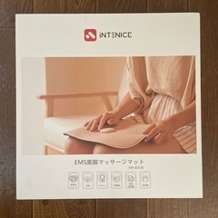 EMS 美脚マッサージマット
