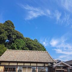 11月の日曜日ヨガ♪体を動かすと心は静まります♪の画像