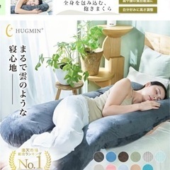 【美品】HUGMIN抱き枕 寝返り いびき 妊婦