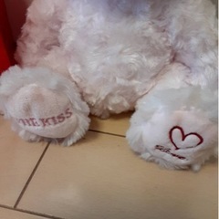 THE KISS ピンクのクマさんの画像