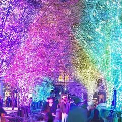 11/25(土)銀座飲み会＋イルミ散策40代50代参加者募集