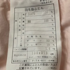 【お取引中です】フランスベット　羽毛掛ふとん　190X210の画像