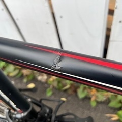 ピナレロ SPEEDY 24インチロードバイクの画像