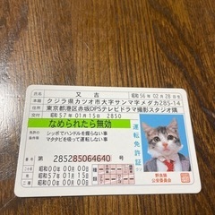 なめ猫の中古が安い！激安で譲ります・無料であげます｜ジモティー