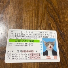 Yahoo!オークション - 全日本暴猫連合 なめんなよ なめ猫 カード