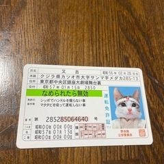 なめ猫の中古が安い！激安で譲ります・無料であげます｜ジモティー