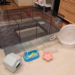 小動物用ケージと小物の画像