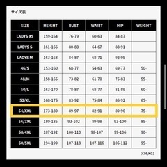 [未使用] MFJ公認 BERIK ハイグレード レーシングスーツ 54の画像